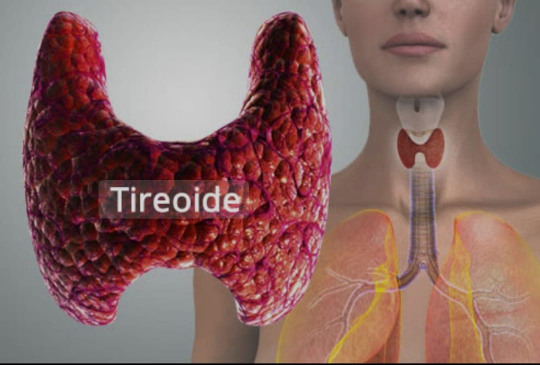 Doenças da Tireoide